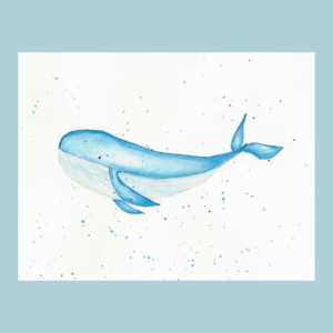 Blue Whale - Greeting Card