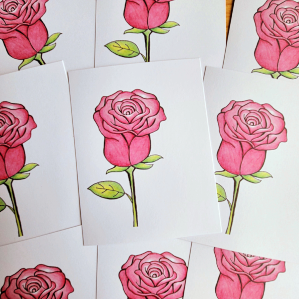 pink rose