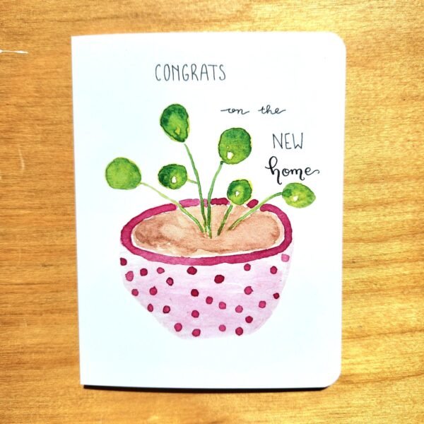 pink polka dot plant