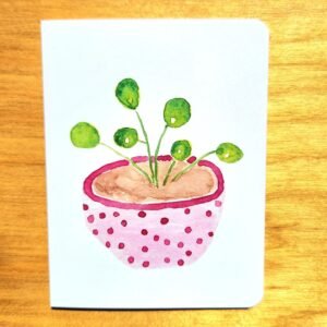 pink polka dot plant