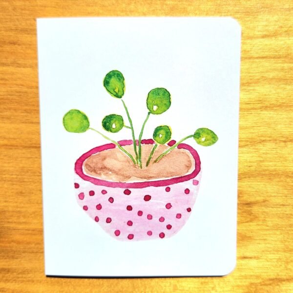 pink polka dot plant