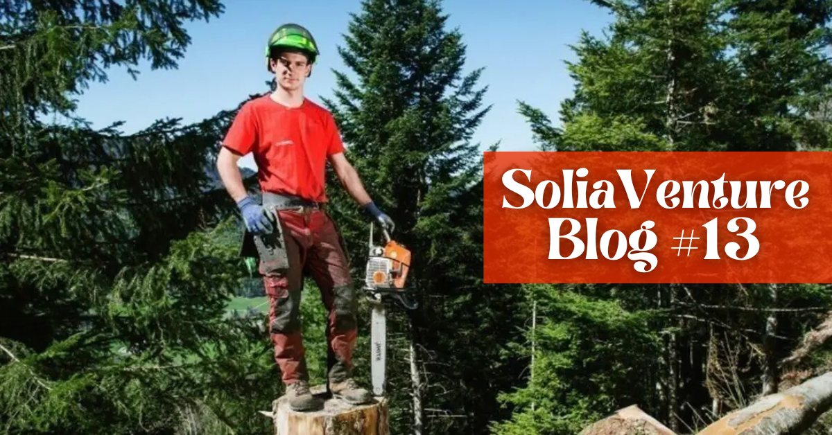 What If You Could Start Your Dream Job at 15?