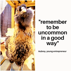 chicken quote