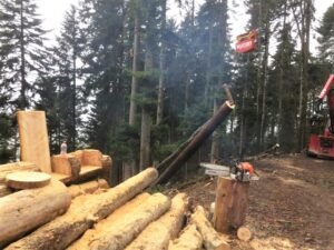 lumberjack apprenticeship.Timber extraction using a mobile cable crane system.