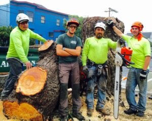 Lucien (second from the left) with the crew from Arborist Now, a San Francisco tree care company, where he worked in 2016.