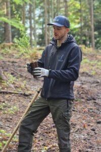 planting trees
