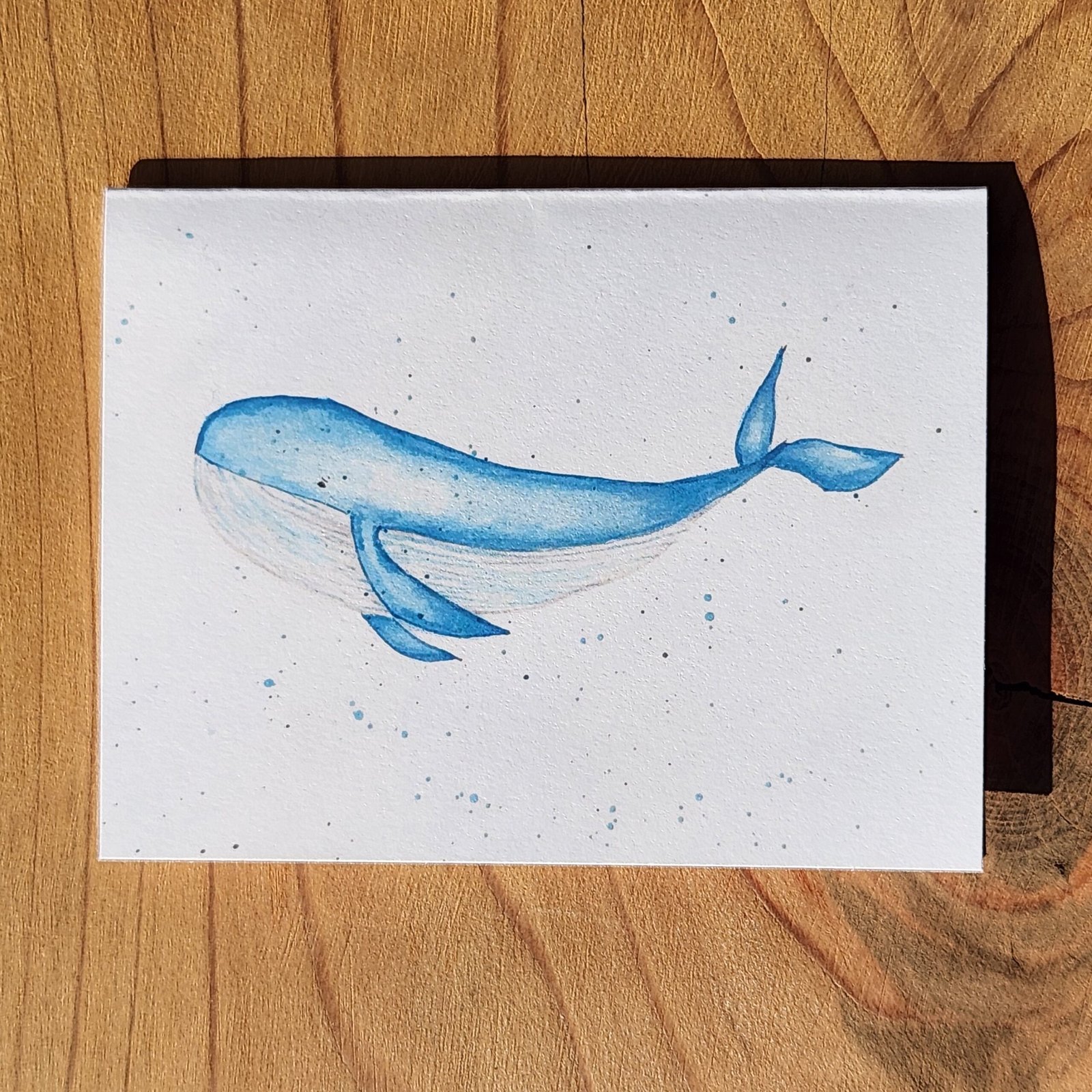 blue whale greeting cards soliaventure