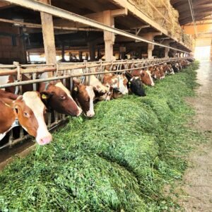 ferme roch ballens