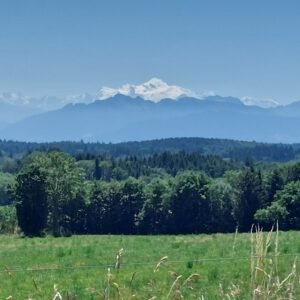 On my way to the farm, with Mont Blanc in the distance.