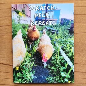 Scratch. Peck. Repeat. – Chicken Card