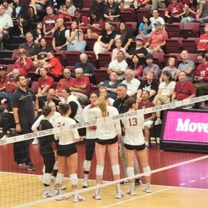 stanford volleyball
