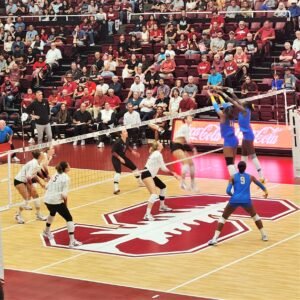 stanford volleyball 
