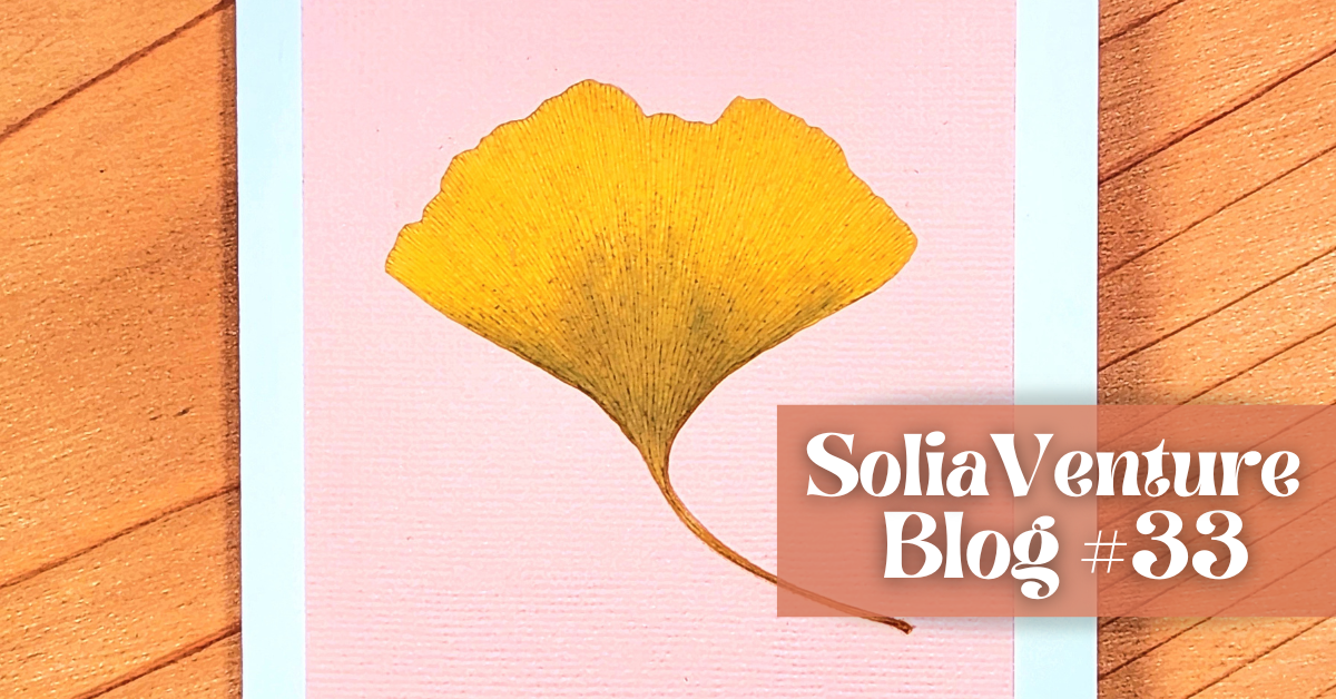 Our 33rd Newsletter Arrives on Thanksgiving