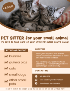 pet sitting business flyer