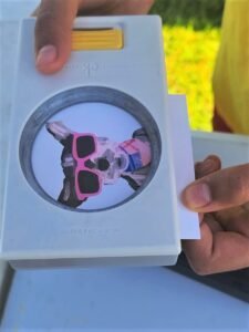 hole puncher for button making