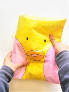 The duck squishy book