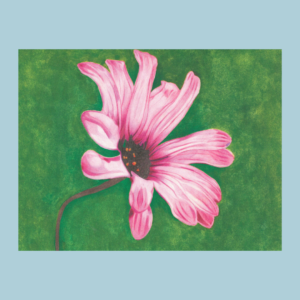 Pink Flower – Greeting Card