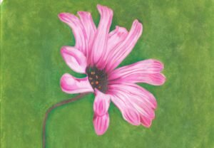 flower greeting card