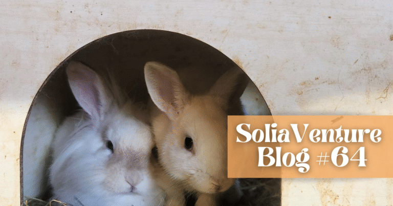 What a 9-year-old taught me about animal care