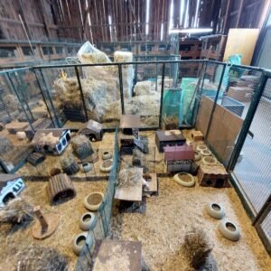 pension de lapins vaud