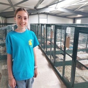 pension lapins ballens