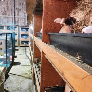 pension lapins ballens vaud
