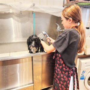 dog grooming