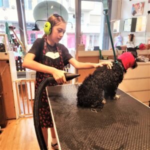 dog grooming
