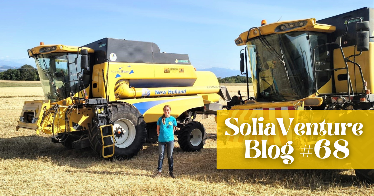 How I ended up driving a combine harvester