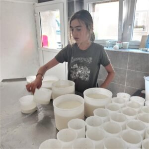 cheese making juriens