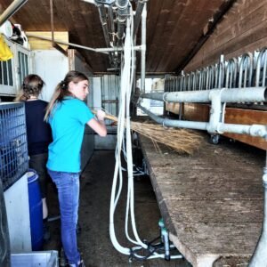 farm work switzerland