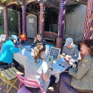 letter to the future soliaventure